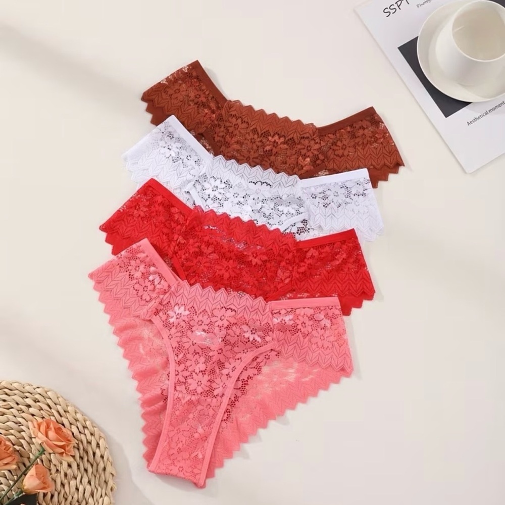 Lace Bikini Panty Set – 6-Pack (Rust, Teal, White, Black, Pink, Gray) - Picture 4 of 4